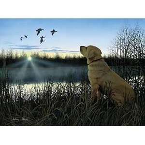  Anthony Padgett   Diligence   Yellow Lab Artists Proof 
