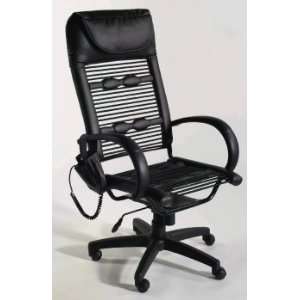  Bungie Executive Massage Office Chair: Home & Kitchen