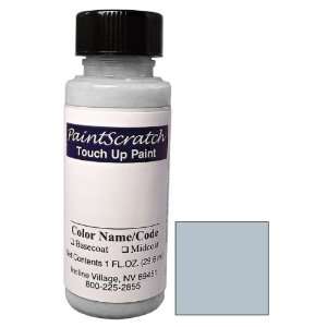 1 Oz. Bottle of Mystic Silver Metallic Touch Up Paint for 