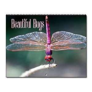  Beautiful Bugs Photography Wall Calendar by  