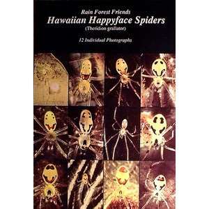  Hawaiian Happy Face Spiders 13 Different Postcards 