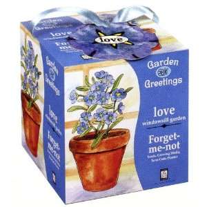  Forget Me Not Love Garden Greeting Seed Kit: Everything 