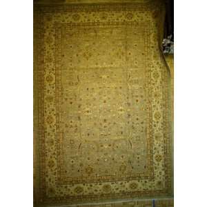  12x17 Hand Knotted Indus Pakistan Rug   120x1710