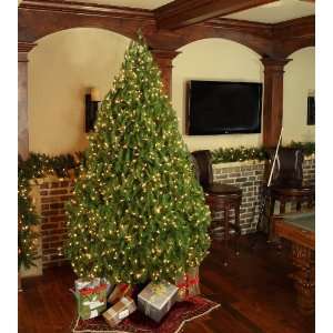  Pre Lit Norway Spruce Tree, 1900 Clear Lights: Home & Kitchen