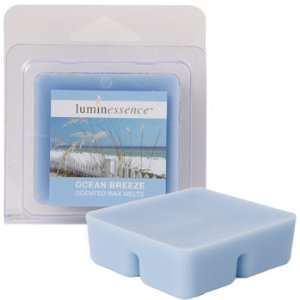  Ocean Breeze Scented Wax Melts: Health & Personal Care