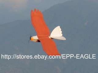 Painted EPP EAGLE   Bald Eagle Color  