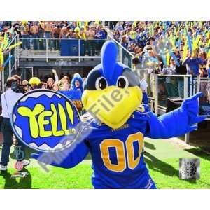  YoUDee Mascot of the University of Delaware Blue Hens 