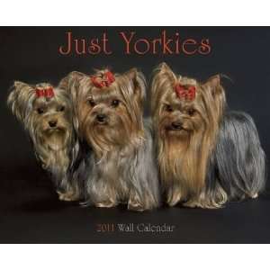  Just Yorkies 2011 Wall Calendar: Office Products
