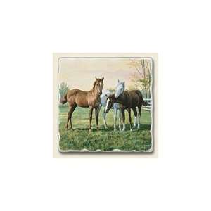  Yearlings Tumbled Stone Coasters: Home & Kitchen