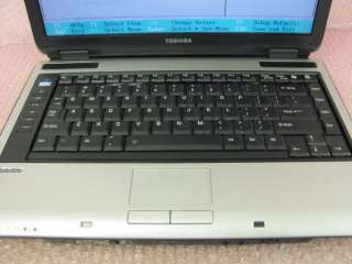 Model No PSMB0U 015007, Serial No Y6031411Q, Screen Size 14 inches.