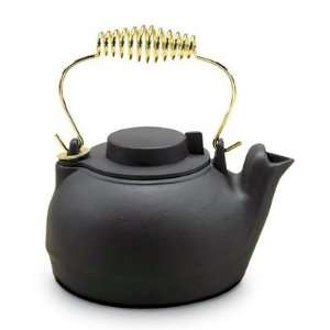  2.5 Quart Cast Iron Kettle