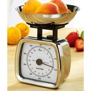 Salter 019 Stainless Steel Diet Scale 