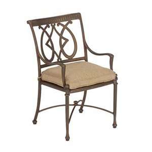  80124C   Wales Dining Arm Chair: Home & Kitchen
