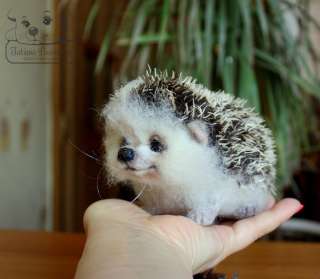 Hedgehog is a collectible toy and is not intended for small children.