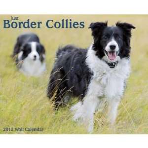  Just Border Collies 2012 Wall Calendar: Office Products