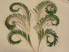 25 SMALLIES   GREEN GOLD PEACOCK NECK PLUMAGE FEATHERS items in The 
