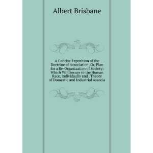   . Theory of Domestic and Industrial Associa Albert Brisbane Books