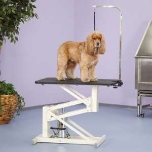   TP389 Z lift Hydraulic Dog Grooming Table in Ivory: Pet Supplies