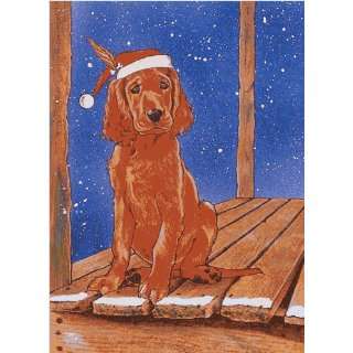   Productions C890 Holiday Boxed Cards  Irish Setter: Home & Kitchen