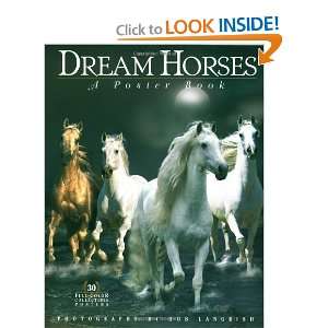    Dream Horses: A Poster Book [Paperback]: Deborah Burns: Books