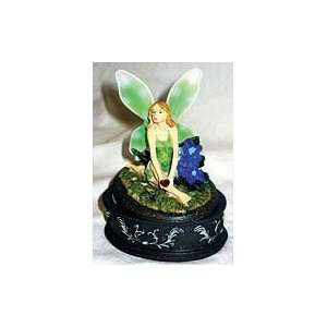  Green Winged Fairy Box: Home & Kitchen
