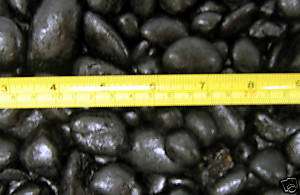 WIVRBK BLACK  VIVARTILE PEBBLES 30 pound box  