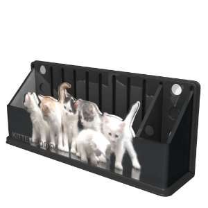    Got Yo Gifts Kitties Cats Fun Caddy Holder: Office Products