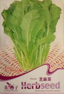 D021 Rocket Chinese Leafy Vegetable taste Sesame Seed P  