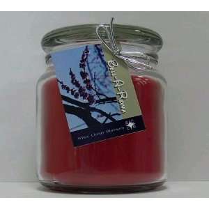   Scented Soy 16 oz Classic Jar Candle   White Cherry Blossom Beauty