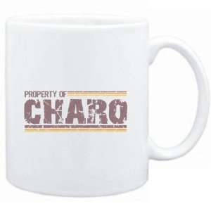  Mug White  Property of Charo   Vintage  Female Names 
