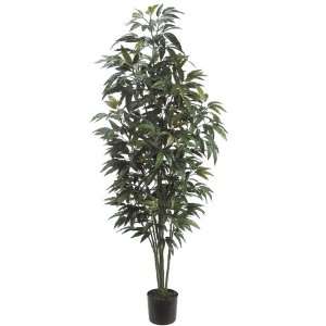  Pack of 2 Potted Artificial Mango Trees 6 Home & Kitchen