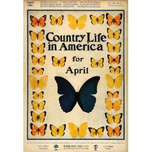  1905 Cover Country Life America Butterfly Varieties 
