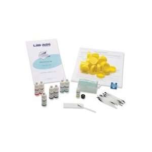 Lab Aids DNA Staining Kit for 30 Students:  Industrial 