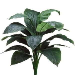  30 Giant Peace Lily Spathiphyllum Silk Plant (case of 2 