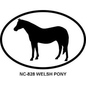 Welsh Pony Oval Bumper Sticker