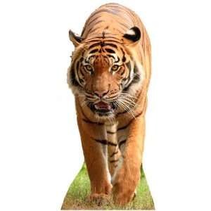  Tiger   Wildlife/Animal Lifesize Cardboard Cutout 