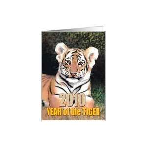   Party Invite for Child Born 2010 Year of the Tiger Card Toys & Games