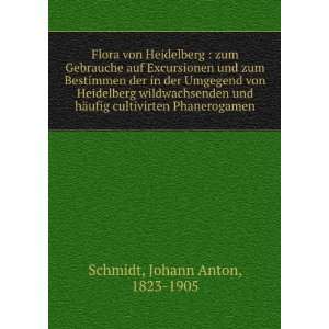 Flora von Heidelberg  zum Gebrauche auf Excursionen und zum Bestimmen 