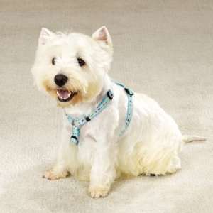  Pet Pals ZW966 14 19 Fashion Harness 14 20 In Blue 