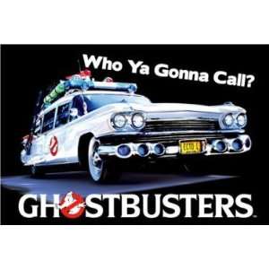    Ghostbusters Who Ya Gonna Call Magnet MGL207: Kitchen & Dining