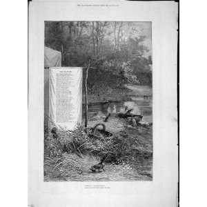  1880 Wagtail Meaulle Poem Sketch Birds Water Print
