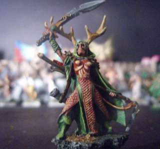 Warhammer Wood Elf Highborn Lord Pro Painted Miniature  