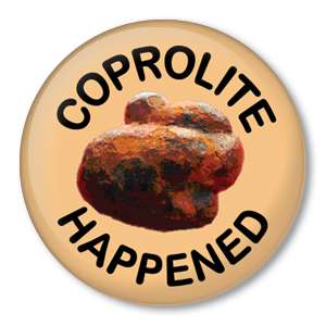 COPROLITE HAPPENED pin button fossil dung dinosaur poop  