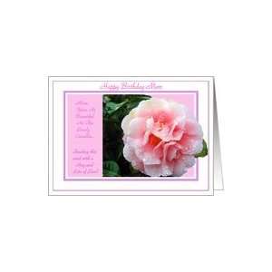 Pink Camellia with Raindrops double framed Happy Birthday Card