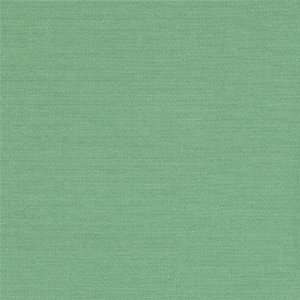 Wide Amy Butler Home Decor Cotton Sateen Jade Fabric By The Yard: amy 