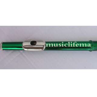 Green17 Open holes flute C key+E Great Metal Tone Tech  
