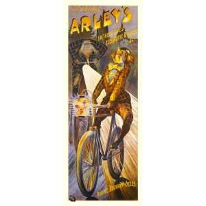  Arleys Giclee Bicycle Poster 