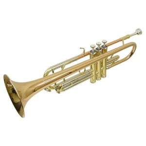   Series Trumpet Brass, Copper, Nickel Finish 2119L: Musical Instruments