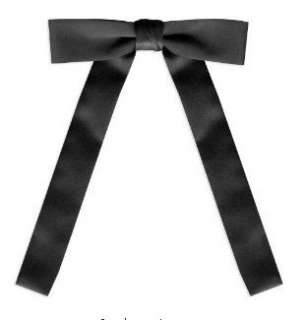  TopTie™ Black Satin Western String Bow Tie Tie Clothing