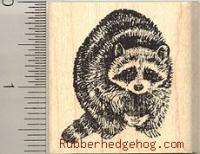 Realistic Raccoon Racoon Rubber Stamp D606 Wood Mounted  